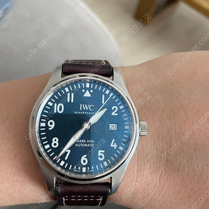 IWC 마크18