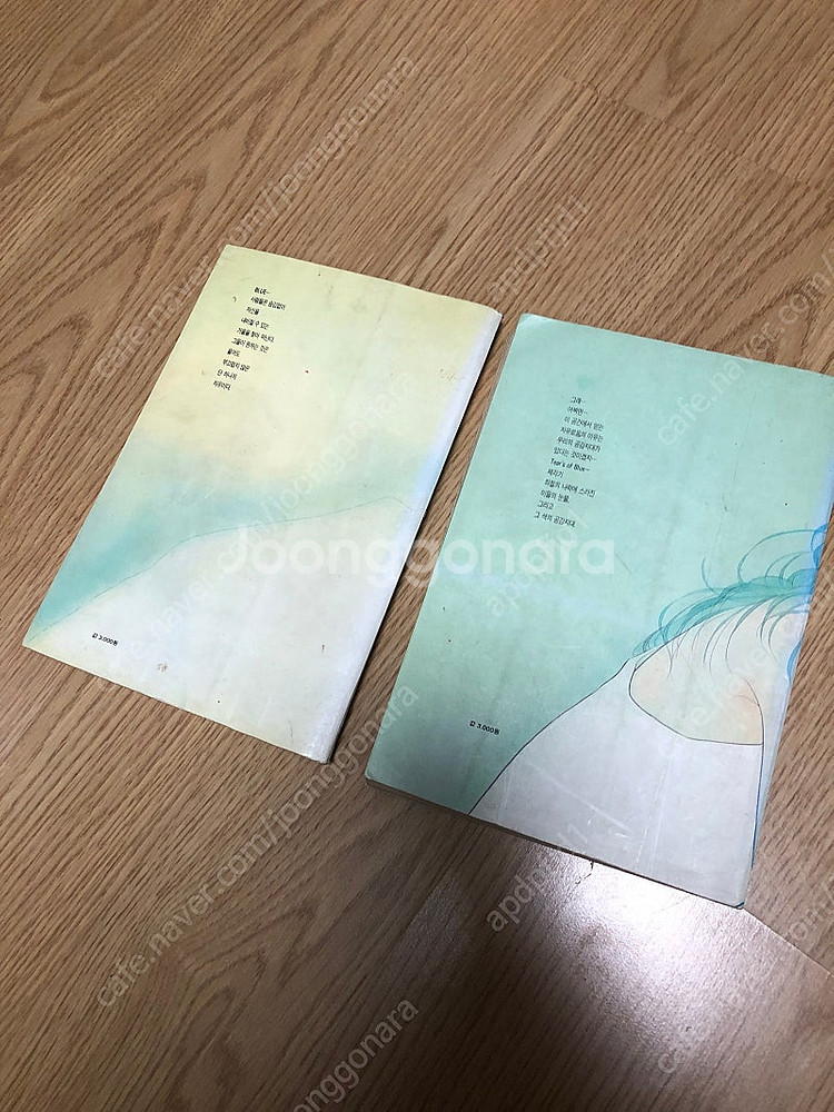 순정만화 이은혜 블루 1권, 2권--1