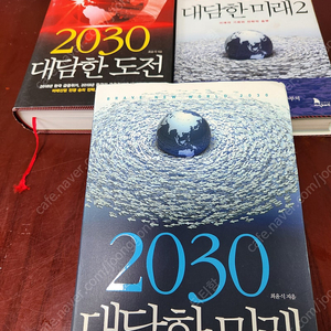 2030 대담한 미래1.2/2030 대담한도전 최윤식저