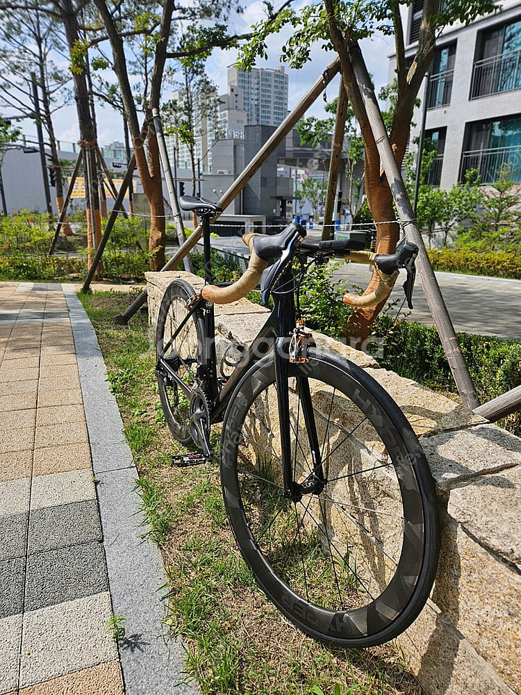 자이언트 tcr advanced sl 1 2019 M사...--2
