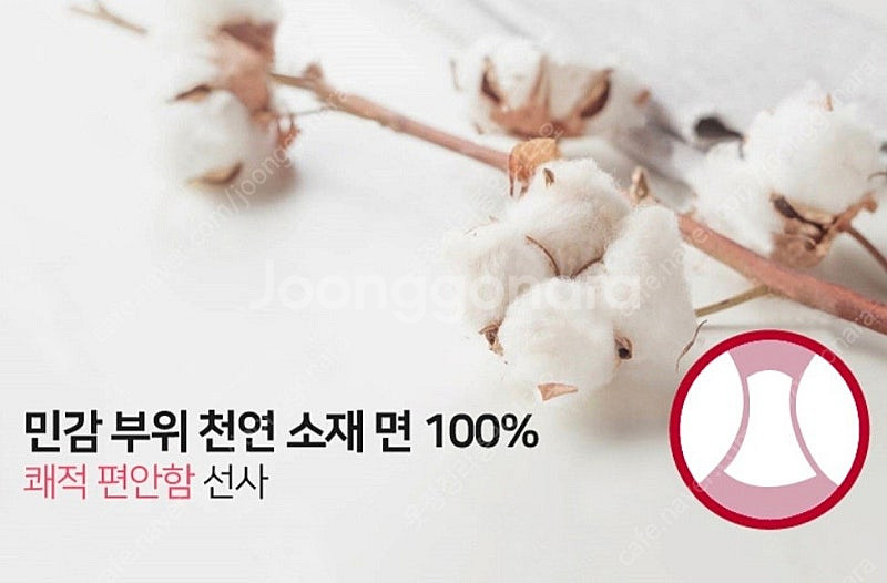 새상품 여성속옷 보정팬티 95사이즈 10장세트--3