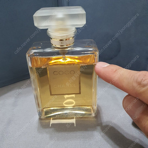 샤넬 코코 마드모아젤 EDP 100ml 향수 (20)