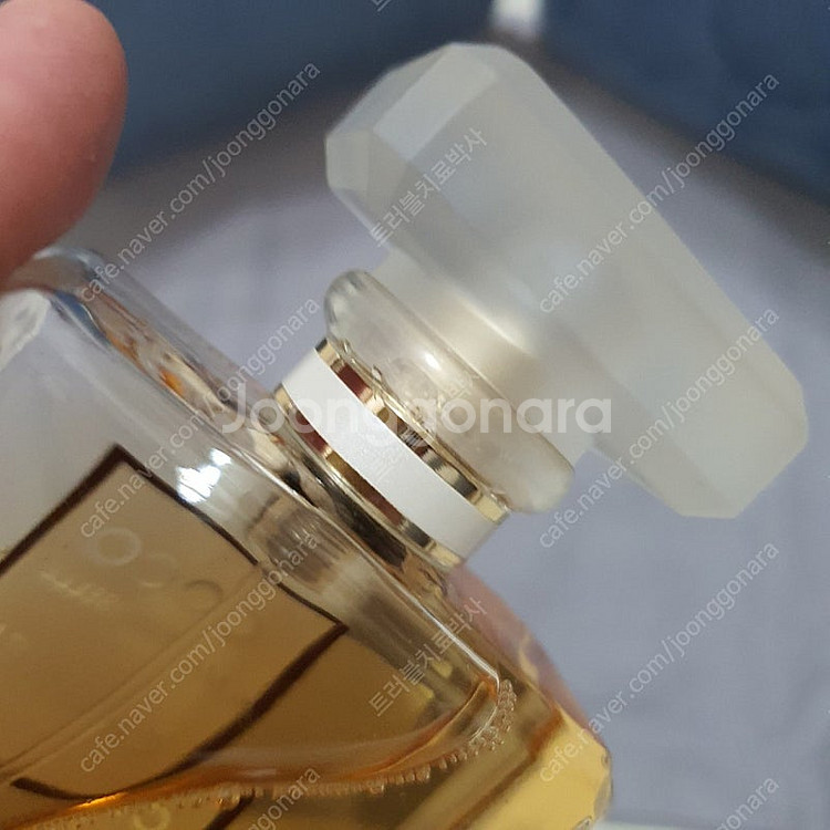 샤넬 코코 마드모아젤 EDP 100ml 향수 (20)--1