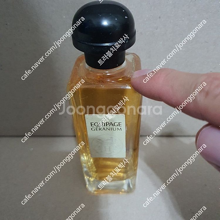 에르메스 에끼빠쥬 제라늄 EDT 100ml 향수 (5)--0