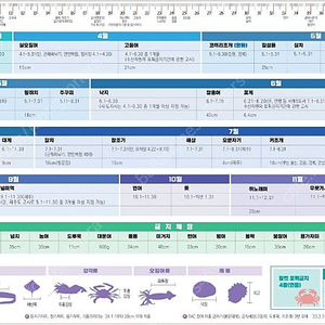 백오 83ml 버트대 3.