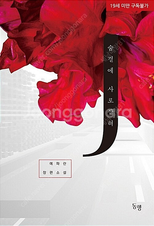 [택포] 대여점용 중고책 숨결에 사로잡혀 판매합니다.--0