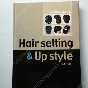 <미용 헤어>Hair setting &UP Style(헤어 세팅 & 업스타일) 책