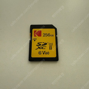 코닥 256 gb SD 카드 (v60) 팝니다