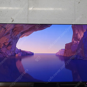 삼성 2020 QLED 4K QT95 163cm(KQ65QT95AFXKR) TV