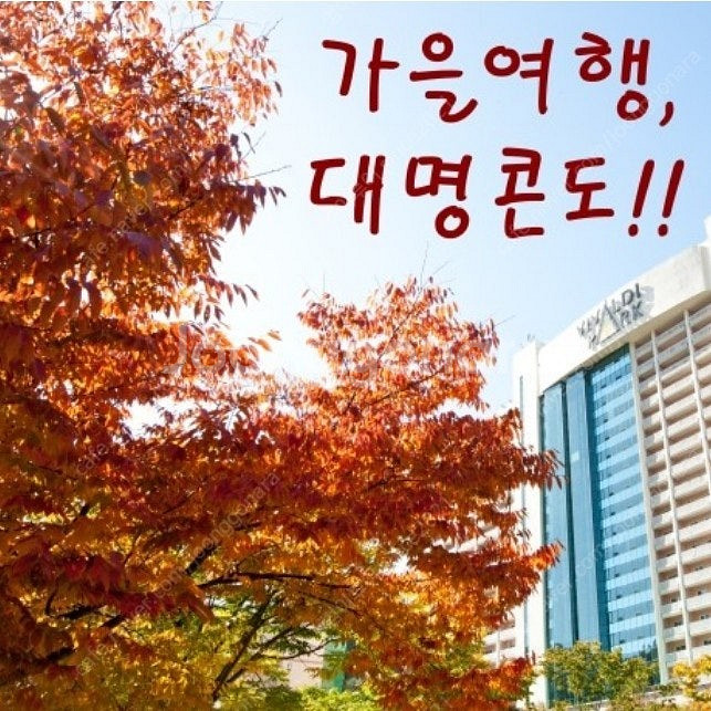 ​10월3 4 5연휴 쏠비치 델피노 용평 비체팰리스 오...--0