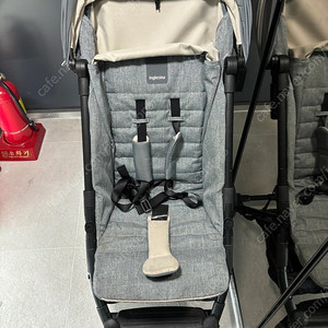 잉글레시나 퀴드2(2023년 구매)