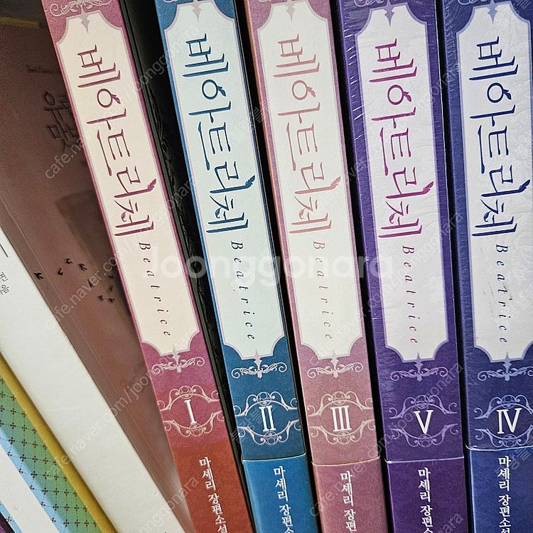 로판소설책판매(그공사,베아트리체,악녀의정의,마이페어풋맨...--1