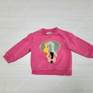 티셔츠 100 리틀스텔라 맨투맨