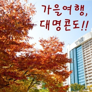 <가격인하>​10월3 4 5연휴 쏠비치 델피노 용평 비체팰리스