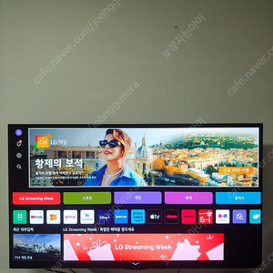 LG OLED 올레드 42C3ENA 스탠드 받침 없음