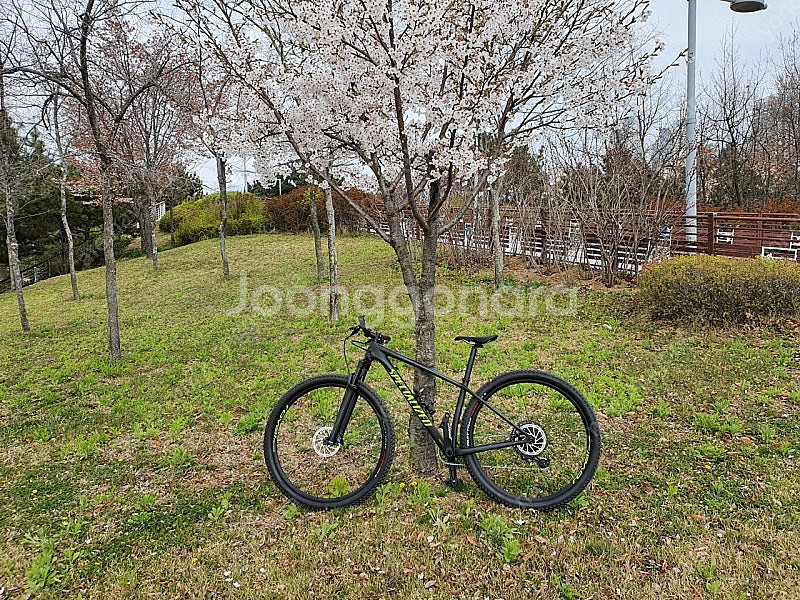 [판매] 2020 SPECIALIZED EPIC HARDTAIL COMP 완차 (직거래)--0