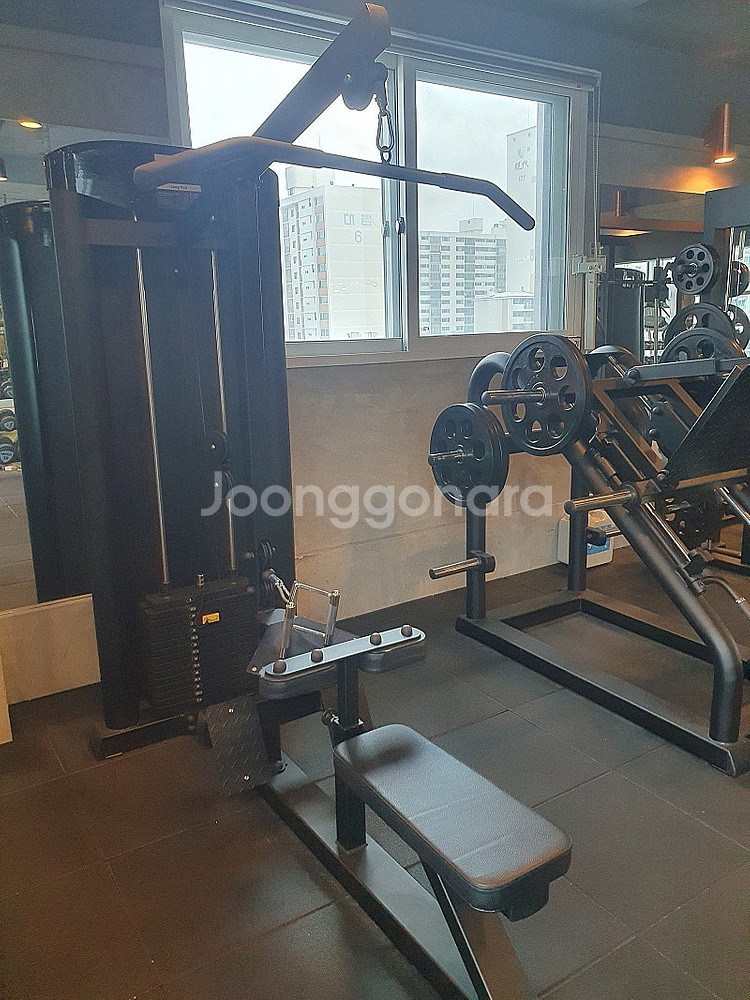 렛풀다운/45도 파워레그프레스 핵스쿼트--0