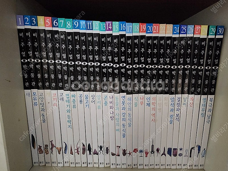 웅진 비주얼박물관 70권 팝니다--0