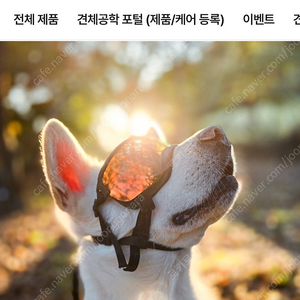 견체공학 견글라스 장두종 M사이즈