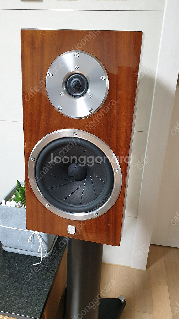 Gato audio 가토오디오 FM2 스피커 팝니다--1