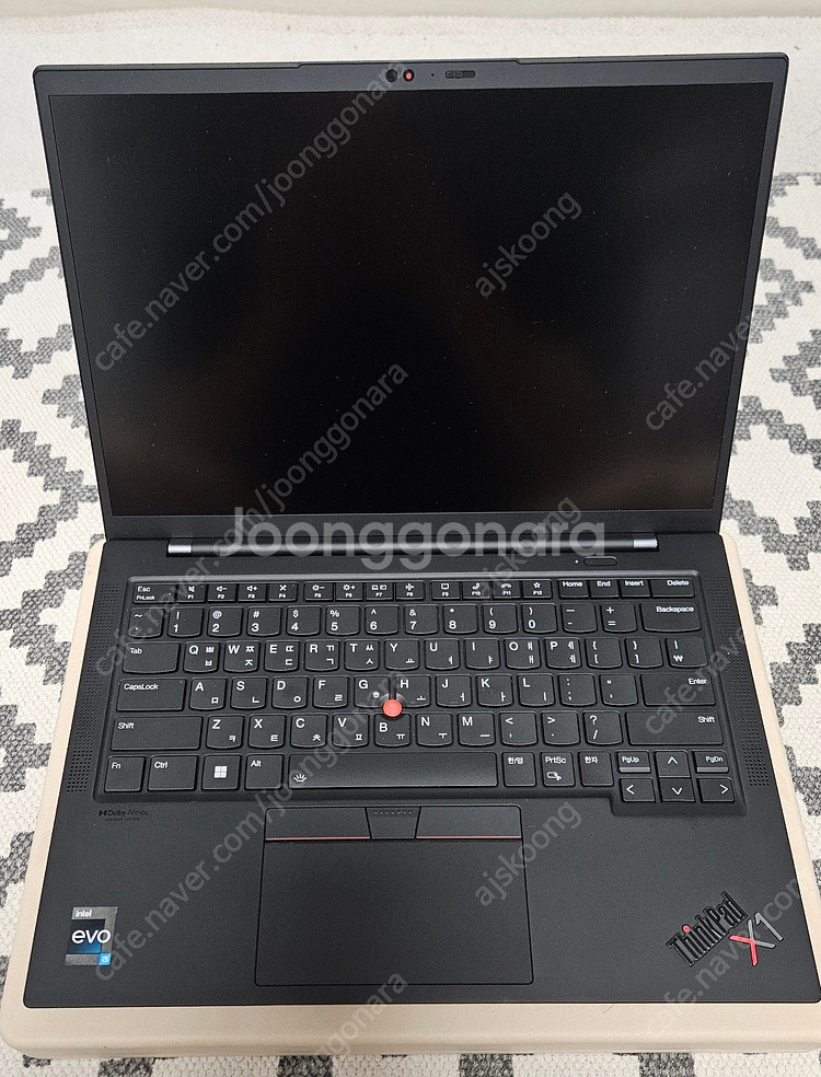 (가격내림) 씽크패드 X1 카본 Gen10 i5 1TB--1