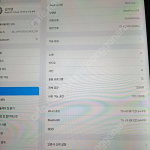 아이패드 프로2세대 12.9 128GB