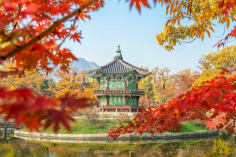 경복궁 야간개장 교환--0