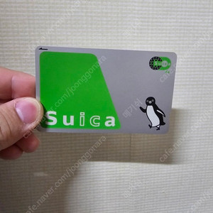 무기명 JR 동일본 Suica 스이카 교통카드 팝니다