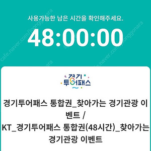 경기투어패스 48시간 성인 1매