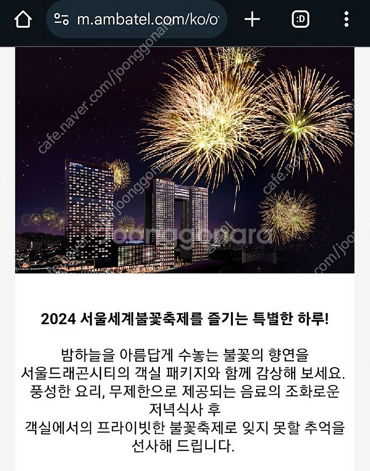 노보텔 불꽃축제 푸드 익스체인지 디너 뷔페 패키지--0