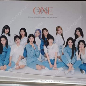 아이즈원(IZONE) 굿즈