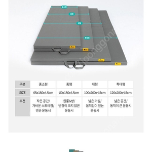 [대전] 파크론 마이핏 홈트매트 팝니다