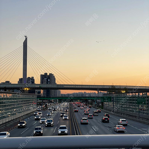 부산국제영화제,178, 구합니다 부국제