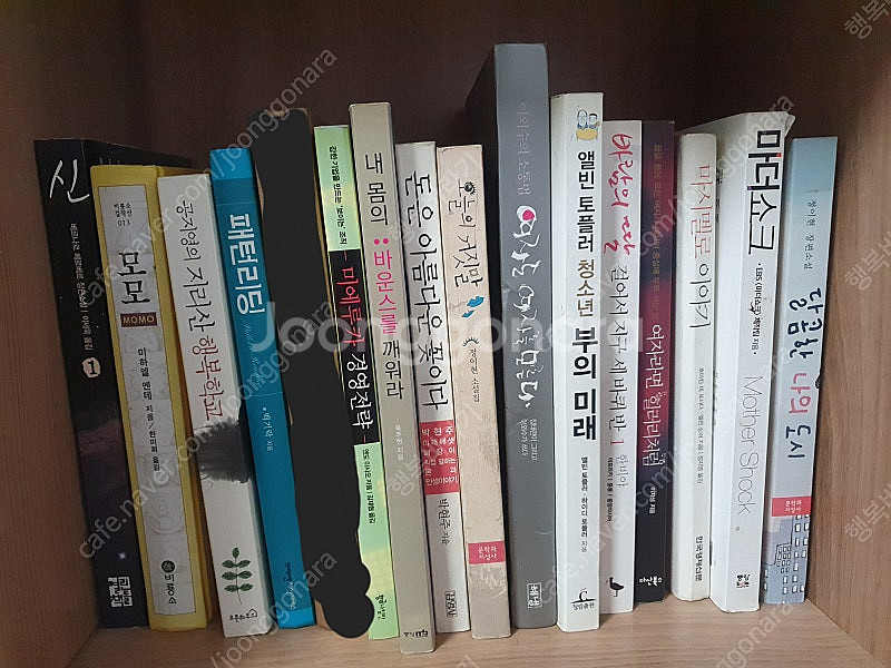 성인책 소설 취미 자기계발 인문 사회 경제 정치 관련책--4