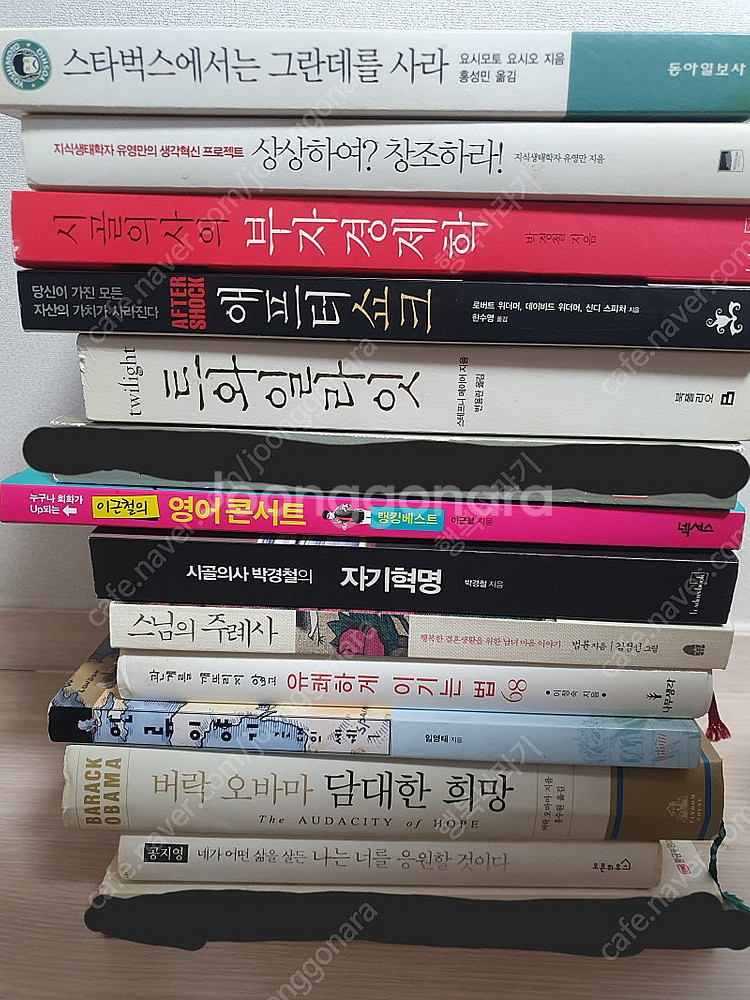 성인책 소설 취미 자기계발 인문 사회 경제 정치 관련책--5