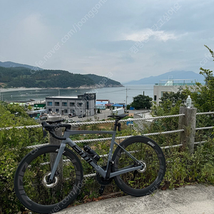 가격 다운) BMC SLR01 five (23년식)