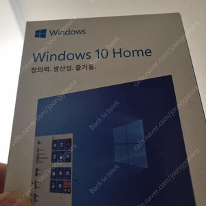 Windows 10 home