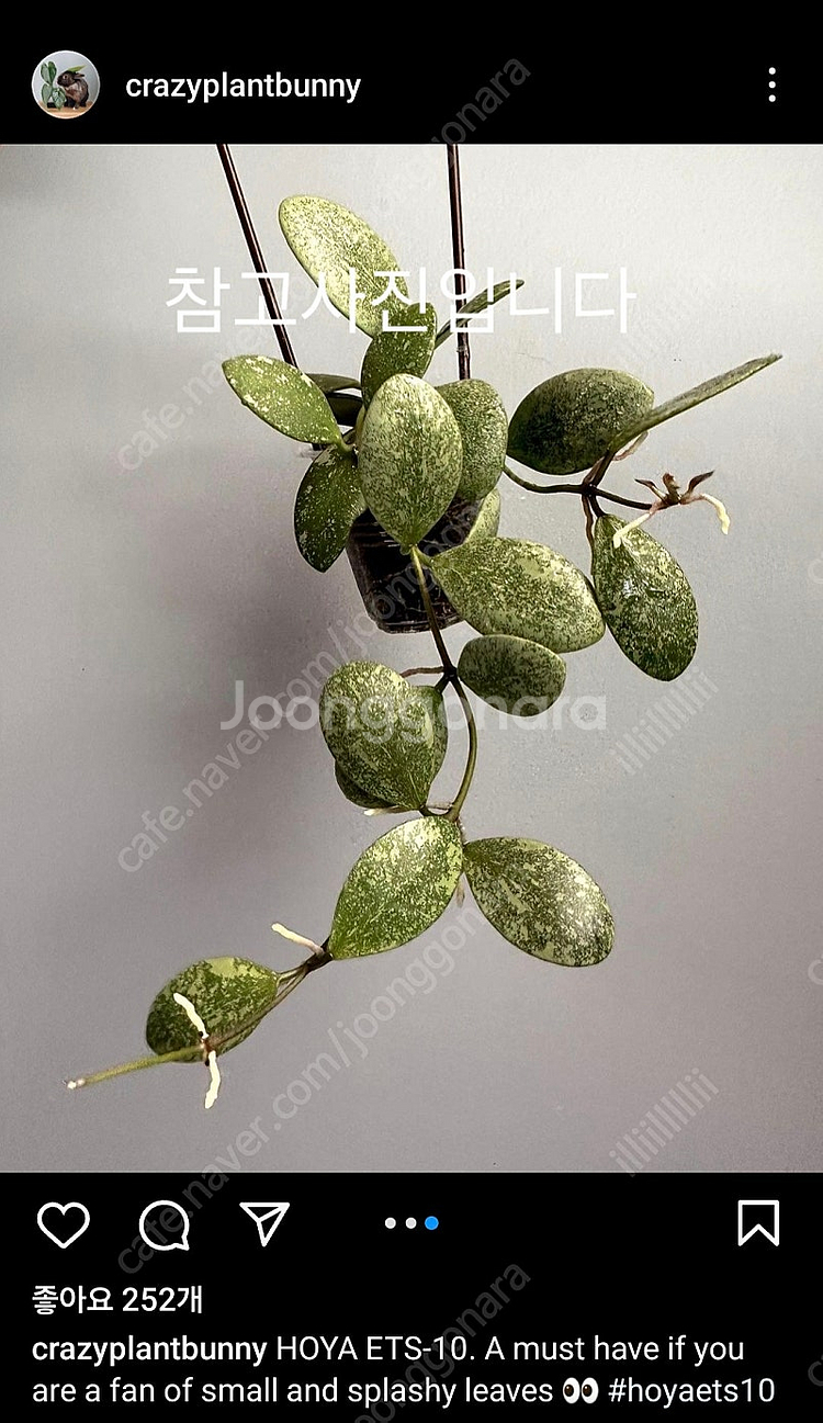 호야 ets 10--7
