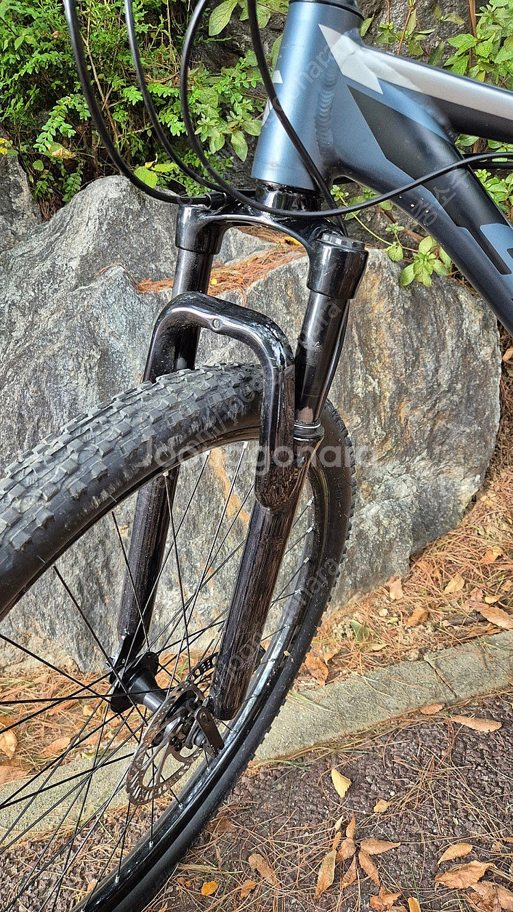 MTB 자전거(스마트 테트라 300, 블루실버, 16"...--2