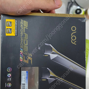 oloy ddr5 6000 blade mirror