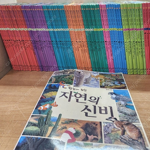 교원 올스토리 초등 자연관찰 전집 교과서가 보이는 자연의 신비 총75권+cd3장 세트 판매해요