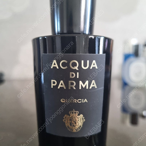 아쿠아디파르마 퀘르시아 오드퍼퓸(100ml)