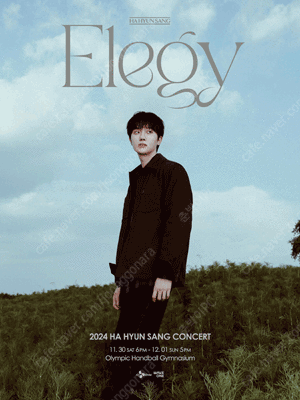 2024 하현상 콘서트 〈Elegy〉 서울(토) R석 2연석 양도합니다