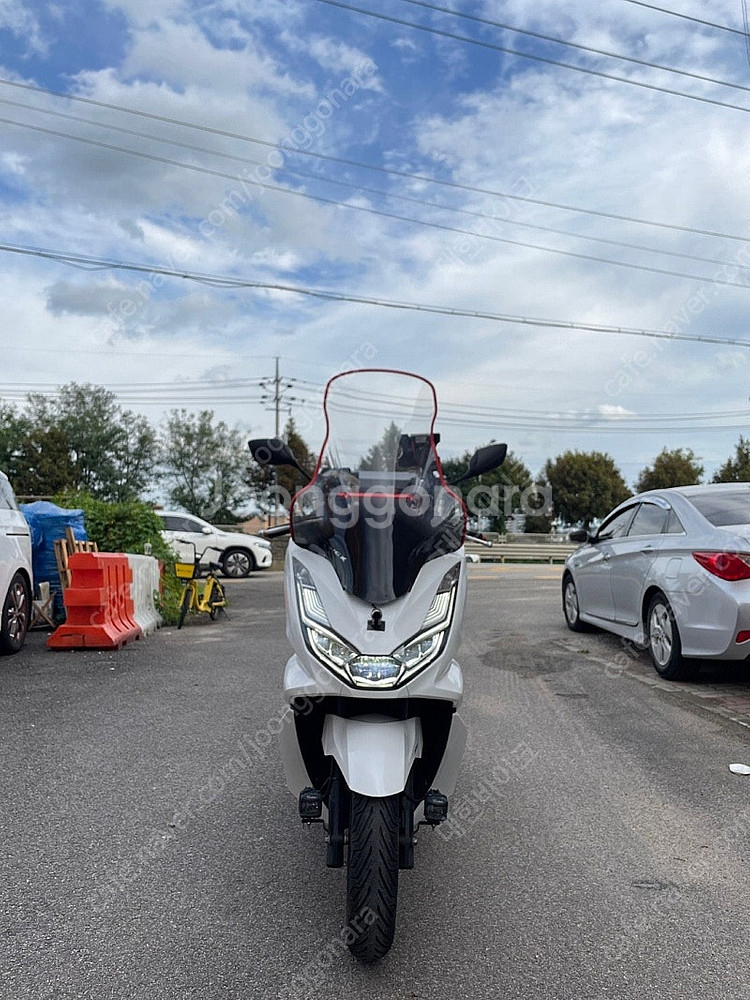 [점검완료]혼다 PCX 125 ABS 22년식 화이트 ...--1