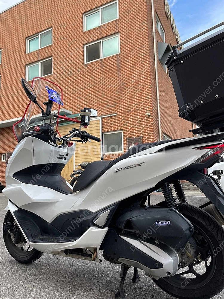 [점검완료]혼다 PCX 125 ABS 22년식 화이트 ...--7
