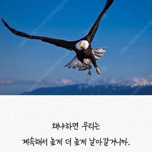 리니지m 구섭 쿠폰 구매합니다 장당1000원