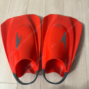 스피도 숏핀 speedo fury