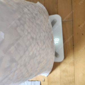 편백 큐브 프리미엄 13mm 8kg