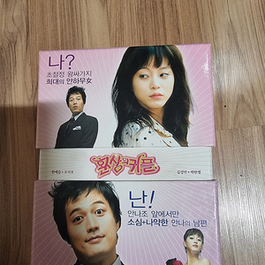 환상의 커플 DVD