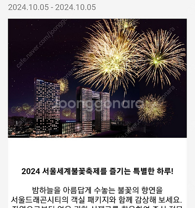 불꽃축제 확정뷰 이비스스타일 1박 투고 패키지--0